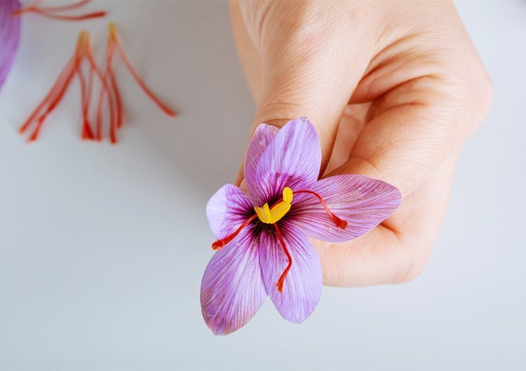 saffron benefits for ADHD