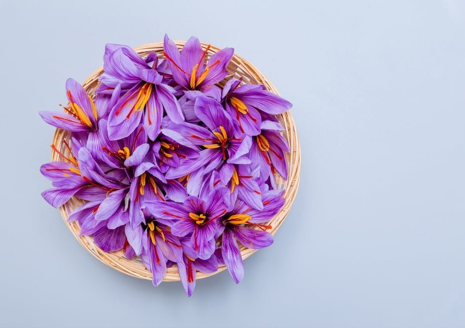 saffron, the most valuable spice
