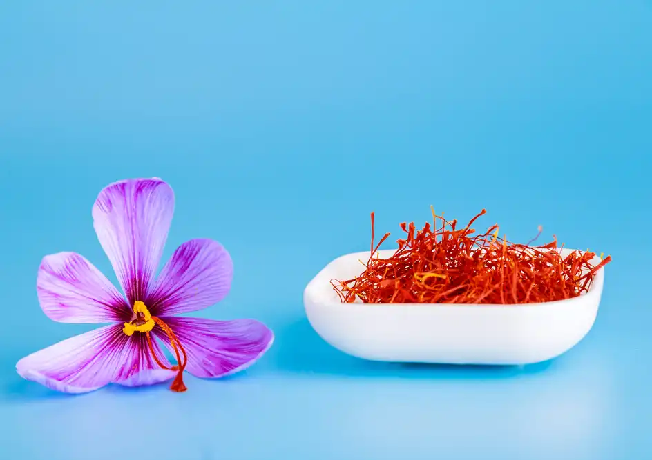 a white bowl of saffron threads and one saffron flower