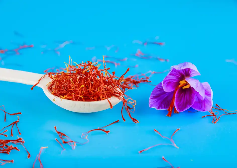 saffron threads in a wooden spoon in blue background