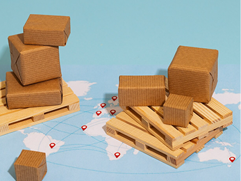Export cartons